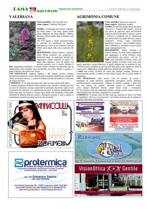 laPIAZZA Sammichele luglio agosto 2011