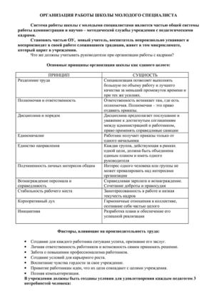 Школа молодого специалиста