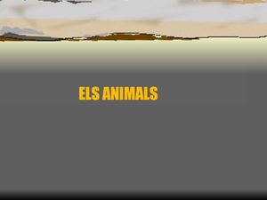 ELS ANIMALS
