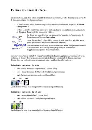 format extension FICHIER RACCOURCI