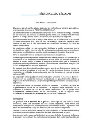 Respitacion Celular