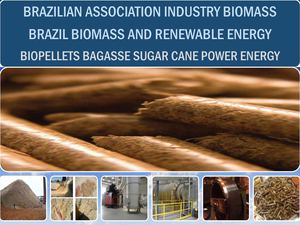 BioPellets Power Energy Brazil
