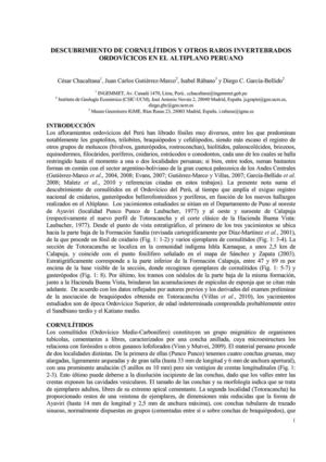 DESCUBRIMIENTO DE CORNULÍTIDOS Y OTROS RAROS INVERTEBRADOS