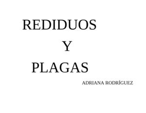 residuos y plagas