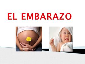 EL EMBARAZO 