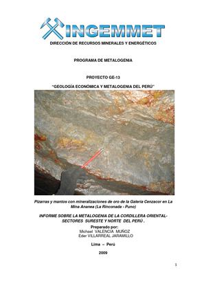 A6480 Informe Tecnico POI_ GE13 2009_Metalogenia Cordillera Oriental Norte y Sur del Peru_M Valencia