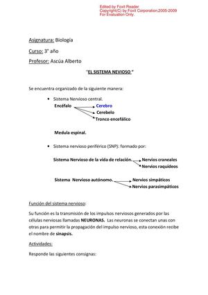 EL SISTEMA NEVIOSO.mini quest