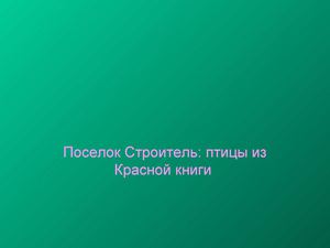 Презентация Красная книга тамбовсаой обл. Птицы исправила