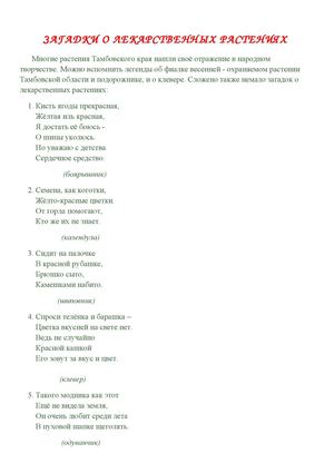 дидактич