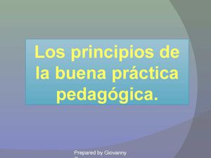 Los principios pedagógicos