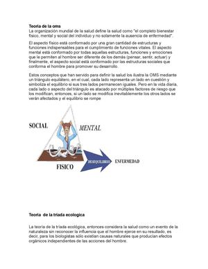 teorias salud ocupacional 