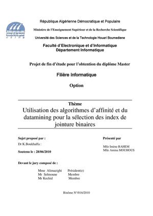 Utilisation des algorithmes d’affinité et du DM pour la selection des IJB -Imene RAHEm et Mouhouze Amina-