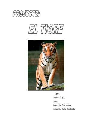 Projecte tigre