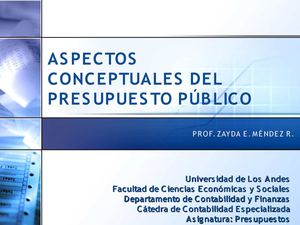 Aspectos conceptuales de presupuesto por proyecto