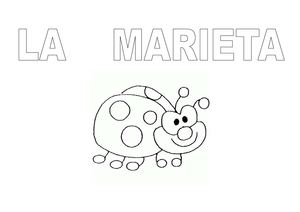 PROJECTE MARIETA P-3