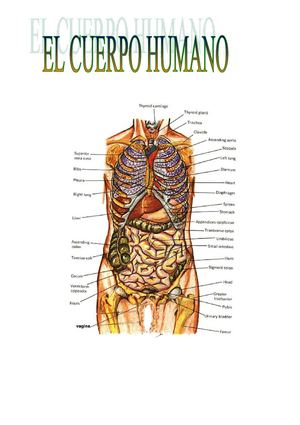 LOS APARATOS DEL CUERPO HUMANO-Roberto