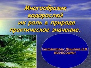 Многообразие водорослей