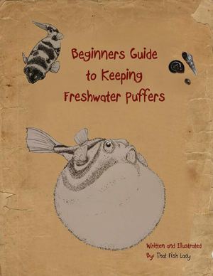 Beginner's Guide to Keeping Freshwater Puffers