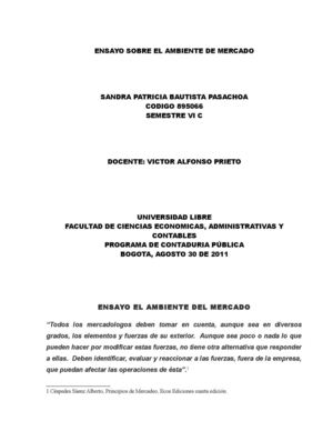 DEFINITIVO ENSAYO SOBRE EL AMBIENTE DEL MERCADO