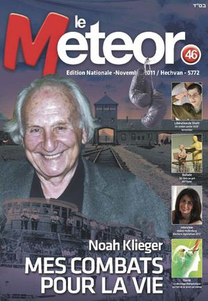 Meteor novembre