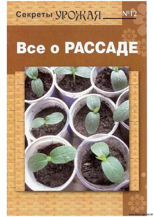 Всё о рассаде овощных культур