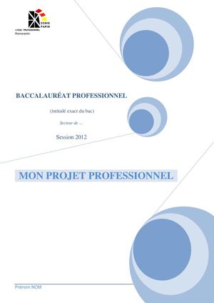 Dossier projet professionnel Bac Pro Industriel
