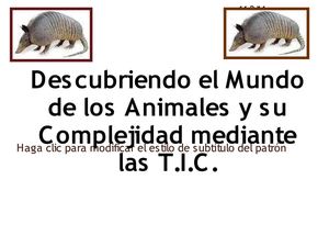 trabajo biologia armadillo