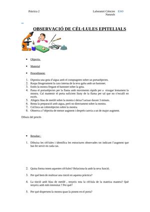 pràctica 2 observació cèl·lules