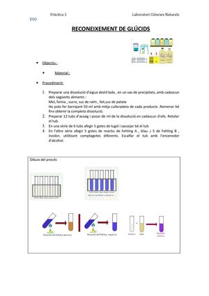 pràctica 3 reconeixement de glúcids