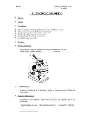 practica 1 microscopi