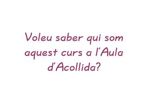 Presentació bloc 11-12