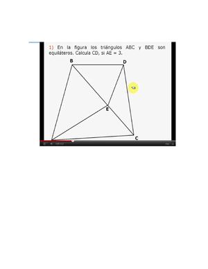 TRIANGULOS