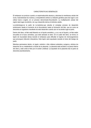 EL EMBARAZO MES AMES