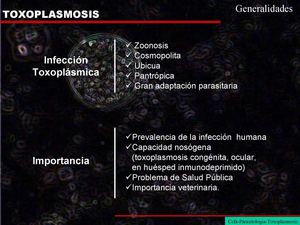 Toxoplasmosis