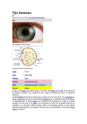 El ojo humano
