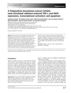 Polipodium leucotomus