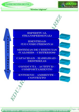 Niveles Lógicos PNL y la Gerencia Comercial