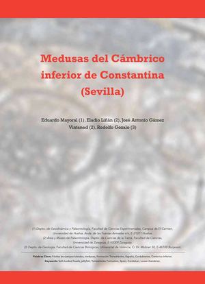 Medusas del cámbrico inferios en Constantina.
