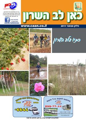 Lev_HaSharon_November