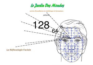 La Réflexologie Faciale ou Dien'Cham