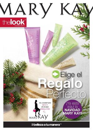 the look noviembre-diciembre 2011