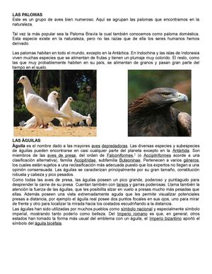 Las Palomas