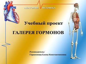 Стартовая презентация учителя