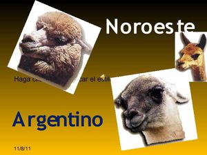 Fauna y Flora Noroeste Argentino