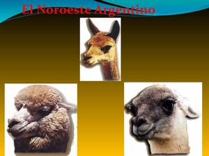 Fauna y Flora Noroeste Argentino