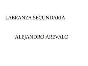 LABRANZA SECUNDARIA