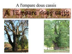A l'empare dous cassis : présentation de l'association