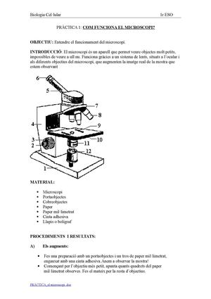 Com funicona el microscopi?