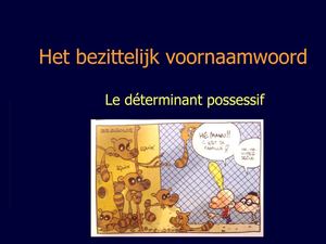 Bezittelijk voornaamwoord