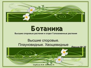 Высшие споровые. Плауновид-ные. Хвощевидные